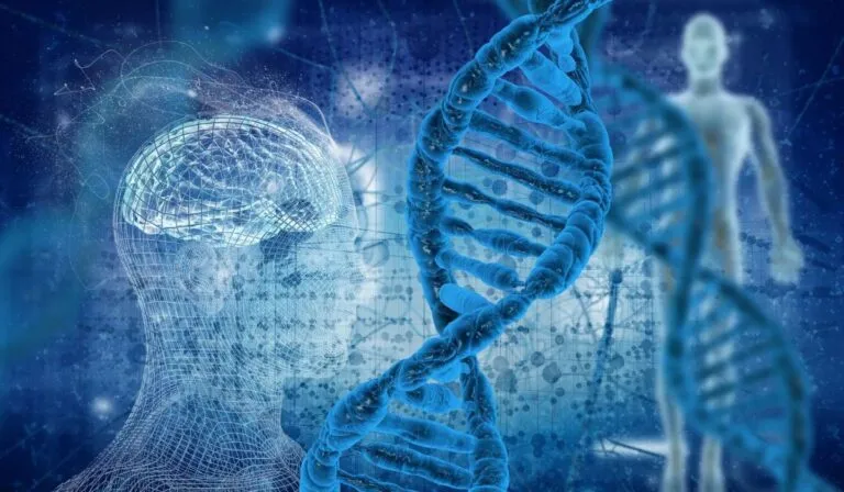 El cambio climático está acelerando la evolución… y podría jugar en contra de los humanos