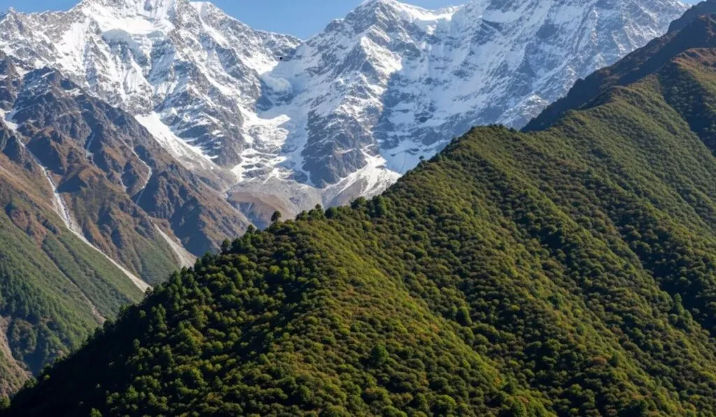 El Himalaya se vuelve verde: el cambio climático transforma sus cumbres a ritmo alarmante