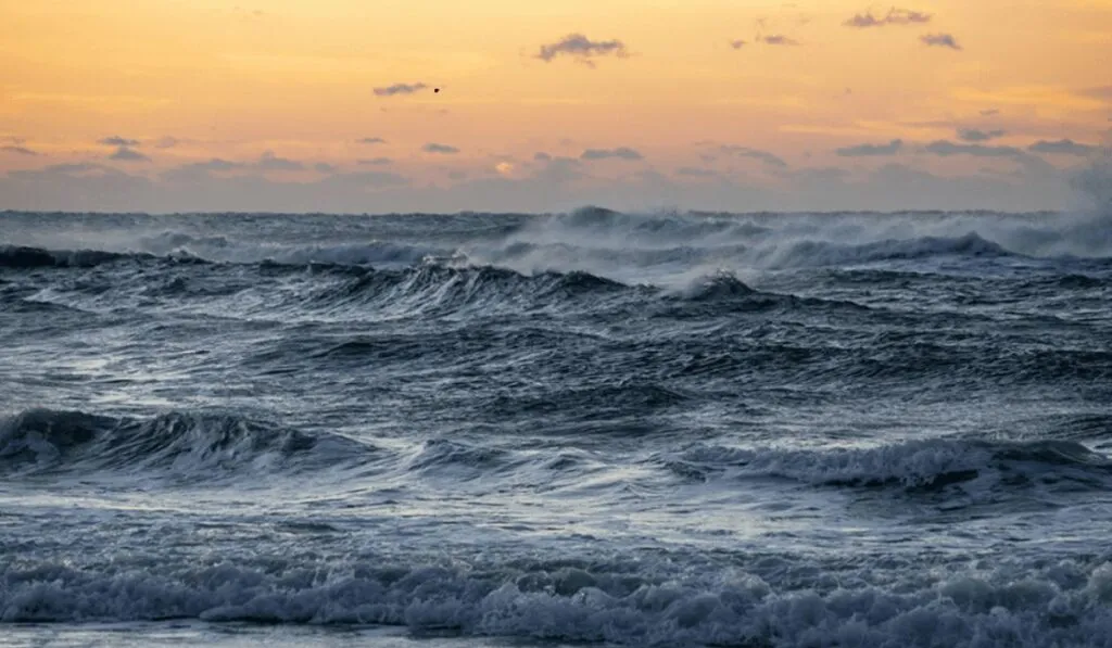 La corriente atlántica en alerta: científicos advierten cambios más severos de lo esperado
