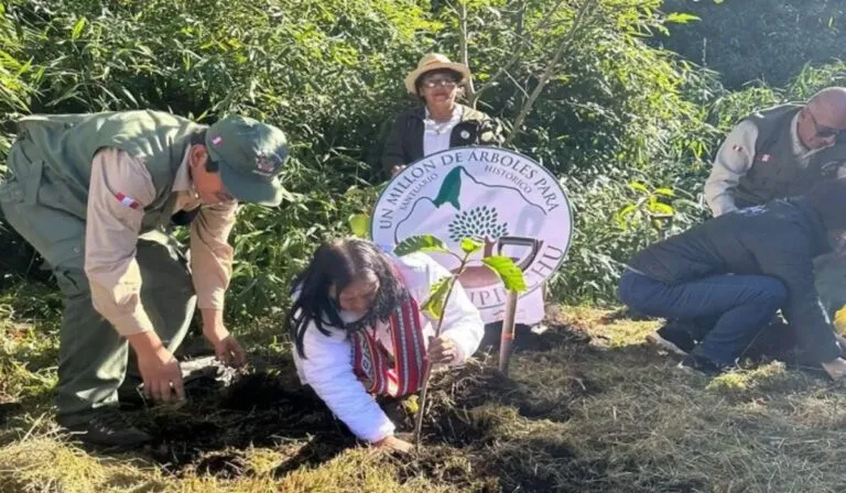 Perú apuesta por la reforestación: un millón de árboles para salvar Machu Picchu
