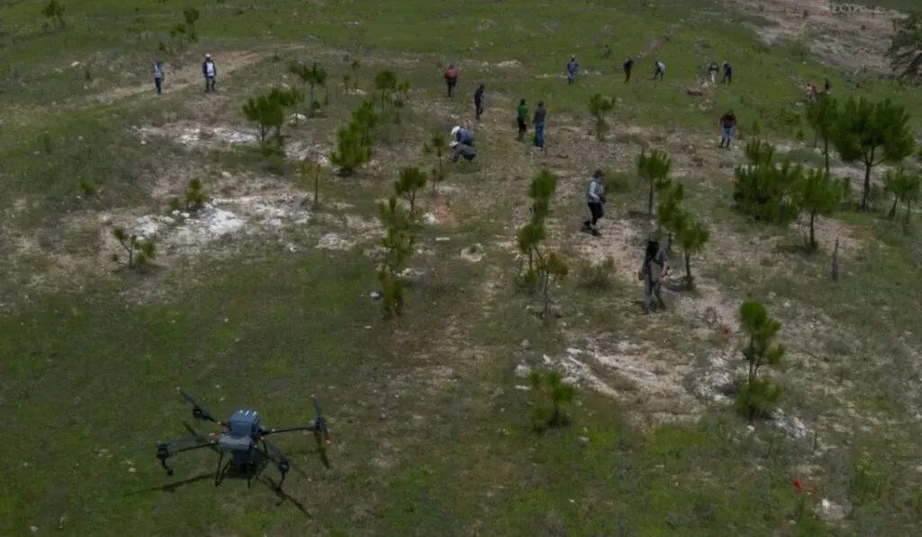 Reforestar desde el cielo: Argentina usa drones para plantar miles de árboles sin esfuerzo