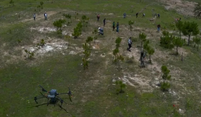 Reforestar desde el cielo: Argentina usa drones para plantar miles de árboles sin esfuerzo