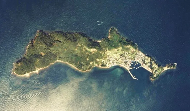 Aoshima, la isla japonesa donde los gatos superan a los humanos