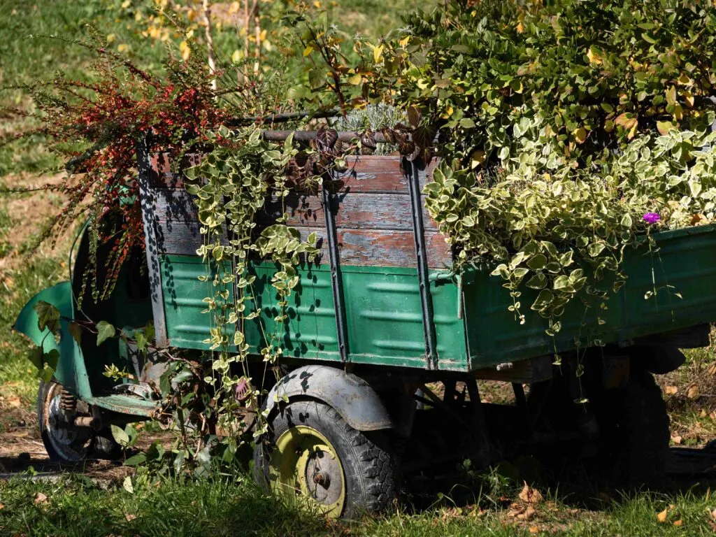 Vehículo de jardinería cargado con plantas y residuos vegetales que pueden reutilizarse para crear nuevos materiales sostenibles.