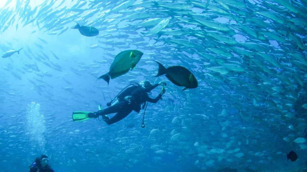 Cabo Pulmo iniciará una consulta pública para fortalecer la conservación de su parque nacional y su arrecife coralino.