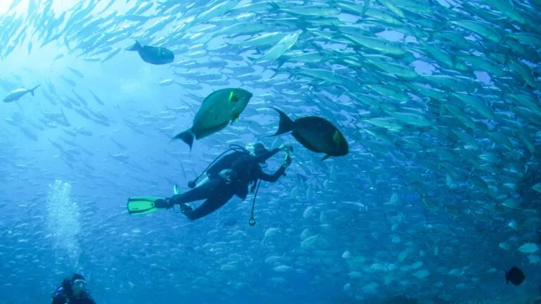 Cabo Pulmo iniciará una consulta pública para fortalecer la conservación de su parque nacional y su arrecife coralino.