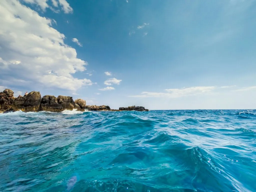 Especies invasoras avanzan en el Mediterráneo por el cambio climático y ponen en riesgo la biodiversidad marina.