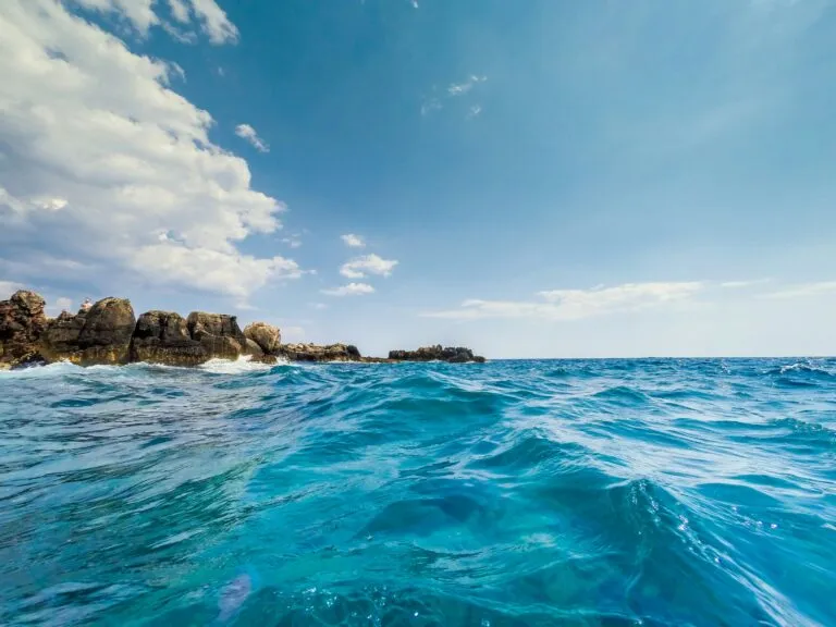 Especies invasoras avanzan en el Mediterráneo por el cambio climático y ponen en riesgo la biodiversidad marina.