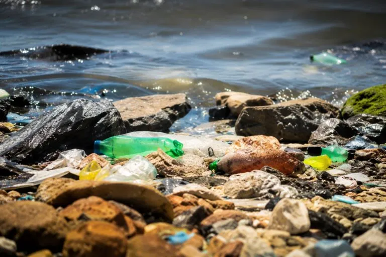 Centro de reciclaje con materiales clasificados como parte de una estrategia de economía circular y sustentabilidad.