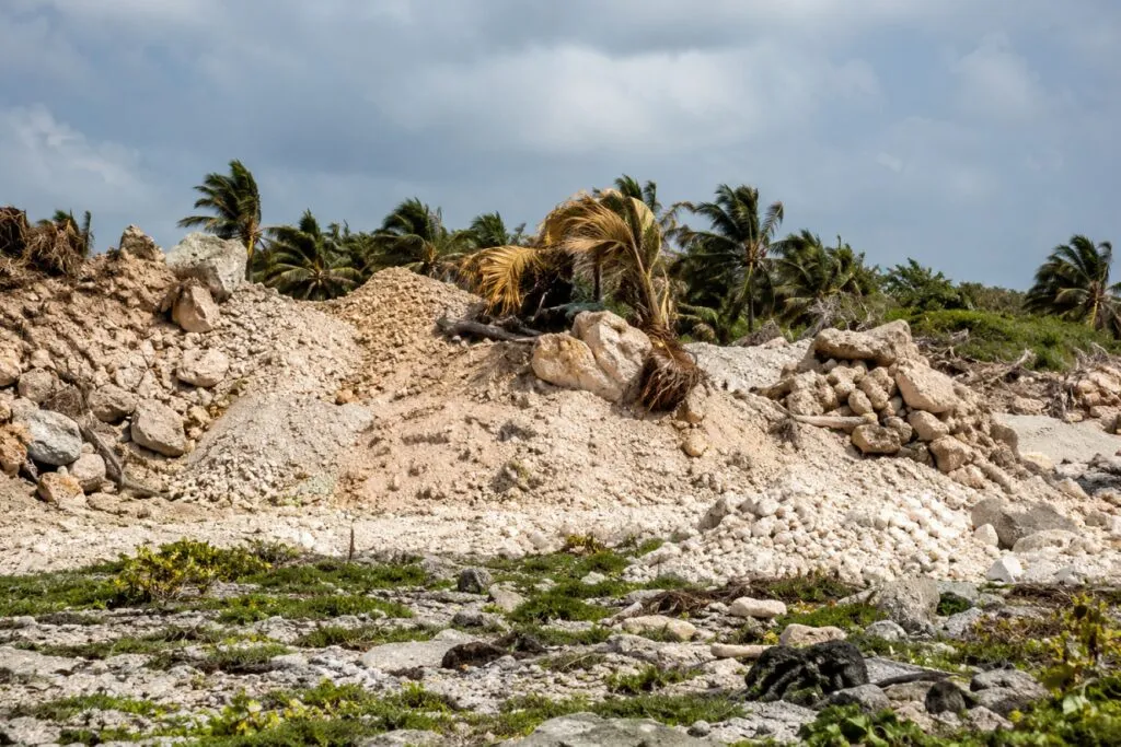 Paisaje de dunas costeras y manglares en Yucatán relacionado con el proyecto Las Dunas.