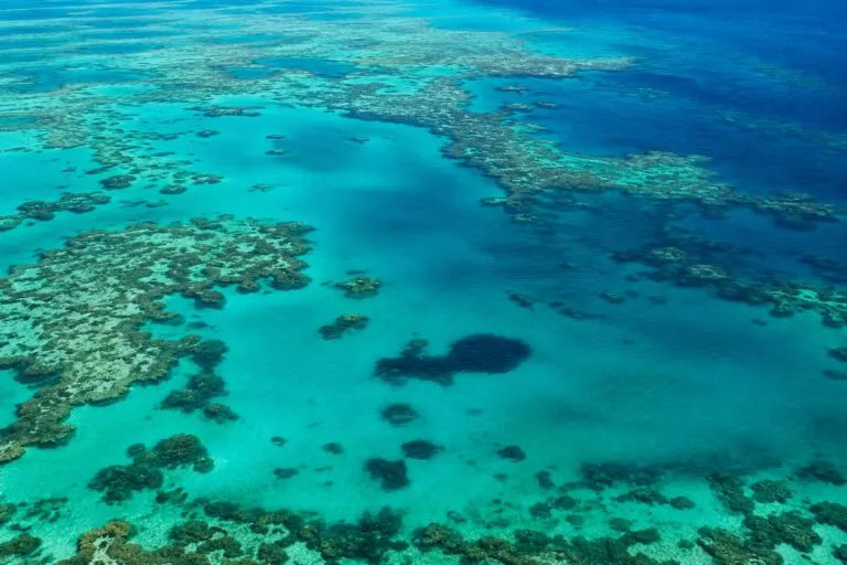 Gran Barrera de Coral en Australia afectada por el blanqueamiento asociado al fenómeno El Niño.