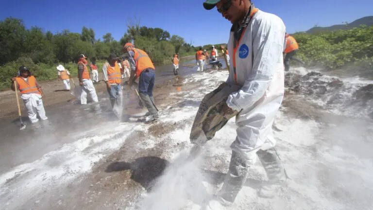 Impacto ambiental y nivel de inversión de Grupo México en acciones de protección ambiental.
