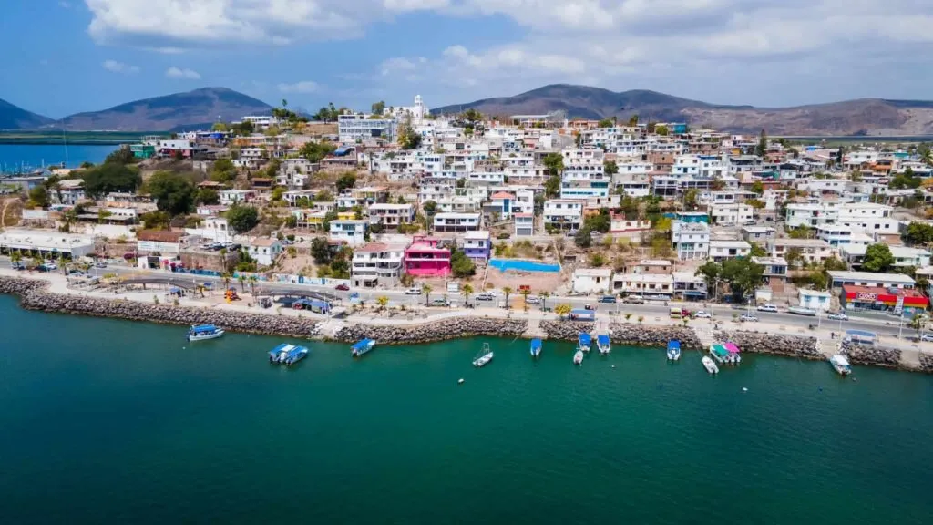 Las batallas ambientales en México reflejan los retos para proteger especies, ecosistemas y comunidades frente a proyectos de alto impacto.