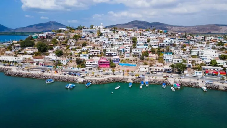 Las batallas ambientales en México reflejan los retos para proteger especies, ecosistemas y comunidades frente a proyectos de alto impacto.
