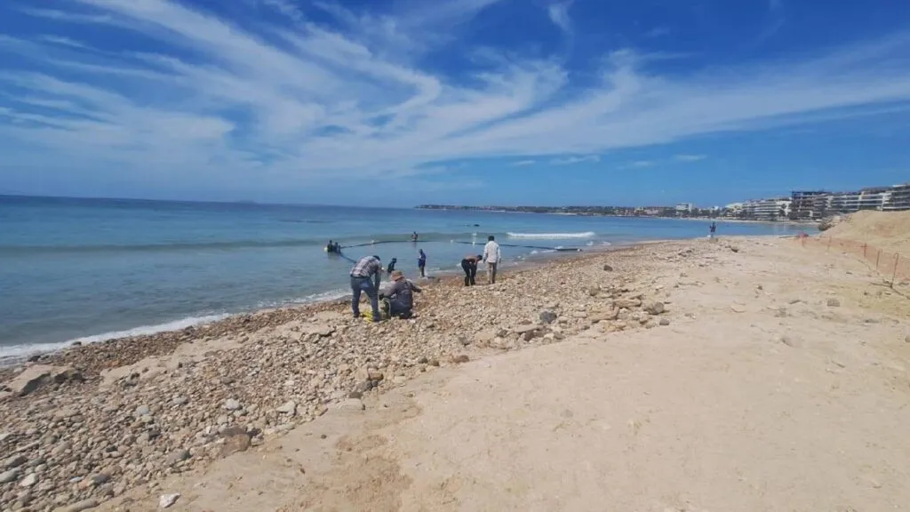 Revocación de la concesión de Semarnat en Playa Las Cocinas para proteger el ecosistema costero.