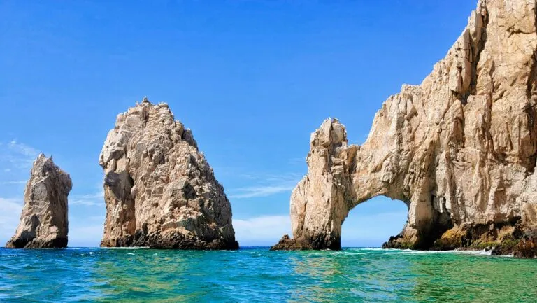 Big 7 impulsa el turismo sustentable para proteger especies marinas y ecosistemas de Baja California Sur.