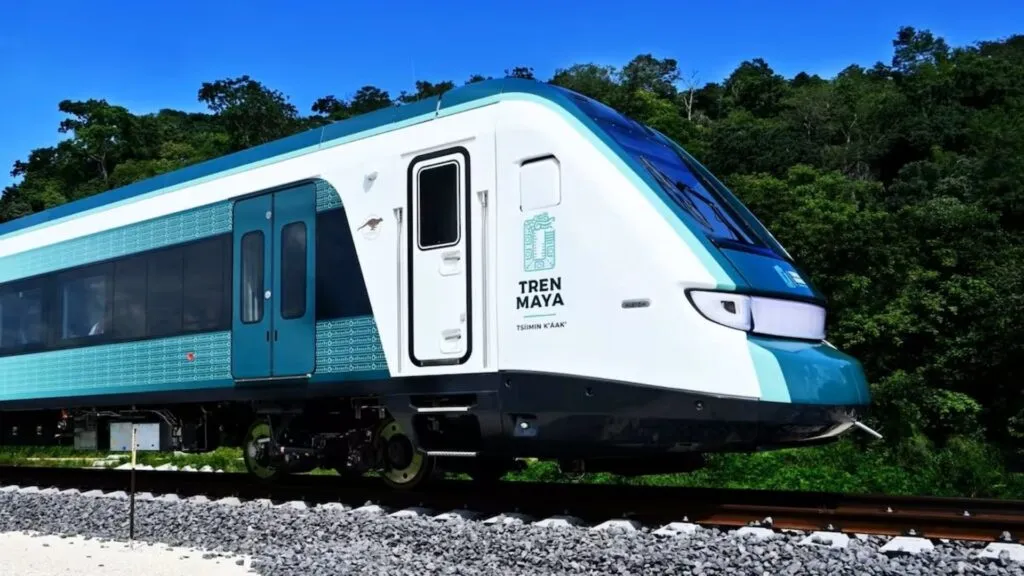Tren Maya y la construcción de una nueva vialidad con impacto sobre la selva en Quintana Roo.