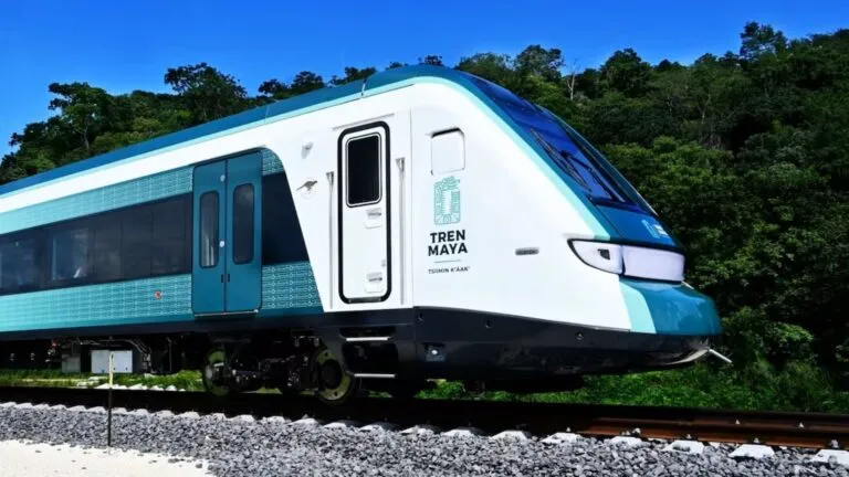 Tren Maya y la construcción de una nueva vialidad con impacto sobre la selva en Quintana Roo.