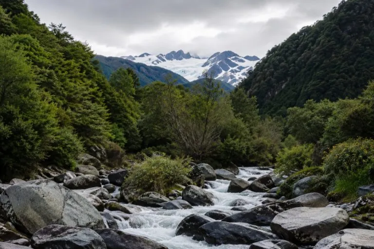 Derecho Real de Conservación impulsa la protección de ecosistemas y la conservación privada en Chile.