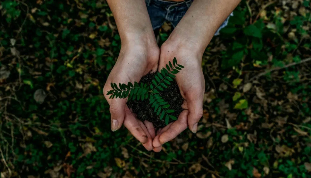 Evaluar el impacto ambiental permite actuar con mayor responsabilidad