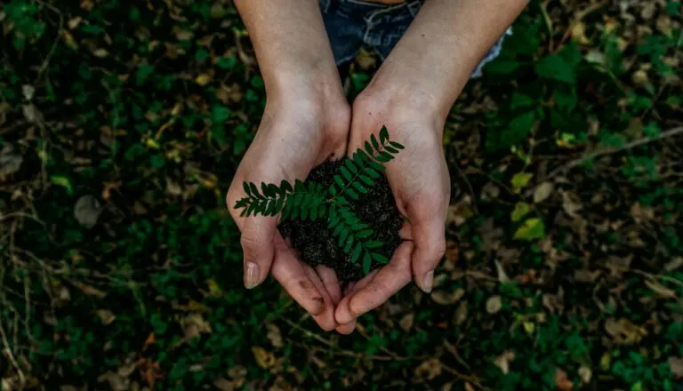 Evaluar el impacto ambiental permite actuar con mayor responsabilidad