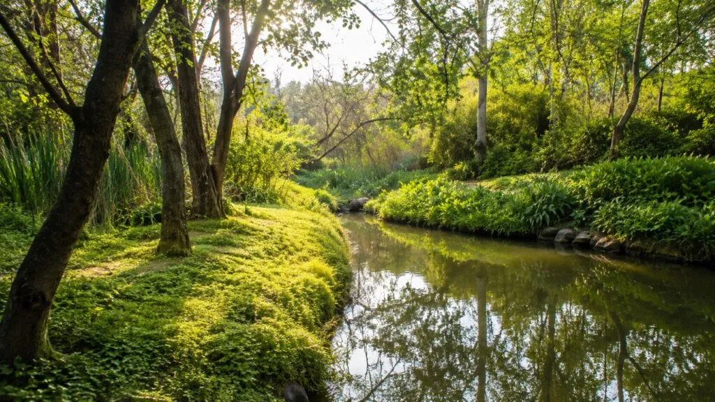Bosques con Aroma de Café impulsa educación ambiental y recorridos en espacios naturales de Zapopan
