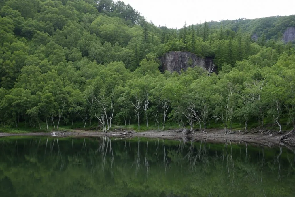 Desertificación en China combatida mediante bosques y vegetación de la Gran Muralla Verde frente a extensas zonas desérticas