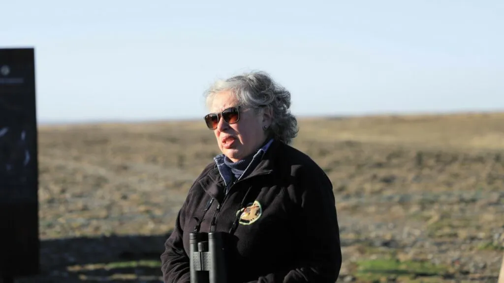 Durán Gafo y la conservación de los pingüinos rey en Chile