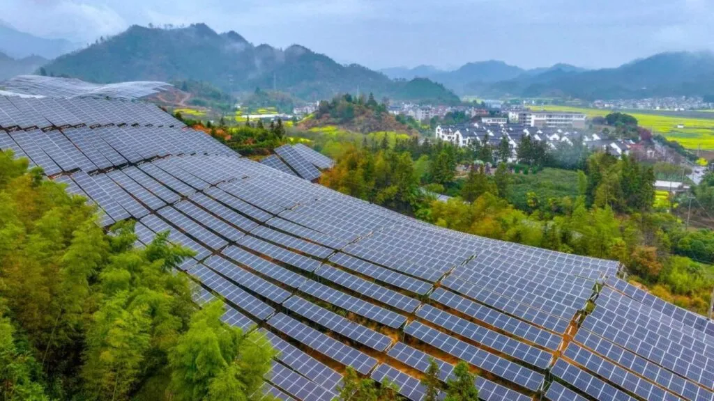 China afronta el desafío de ampliar la energía solar sin aumentar el impacto sobre las aves y la biodiversidad.