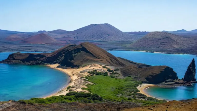 Voluntarios participan en actividades ambientales en las Islas Galápagos de Ecuador, rodeados por fauna y paisajes naturales.