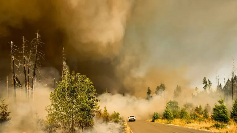 El humo de incendios forestales aumenta el riesgo de enfermedades cardíacas y afecta la salud de adultos mayores.