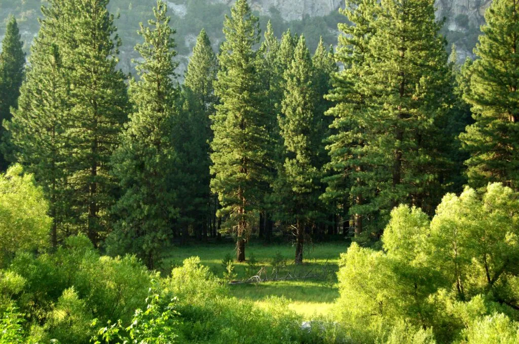 Biodiversidad agrícola protege semillas y cultivos frente al cambio climático