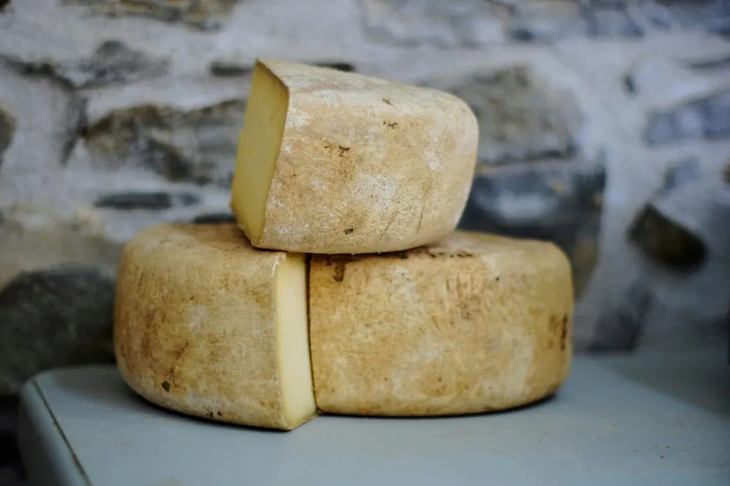 Sequía en Francia afecta pastos y producción de quesos tradicionales