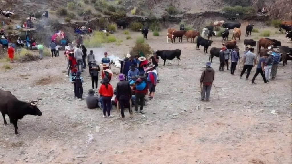Comunidades indígenas enfrentan preocupación por una iniciativa que podría facilitar desalojos de tierras rurales en Argentina.