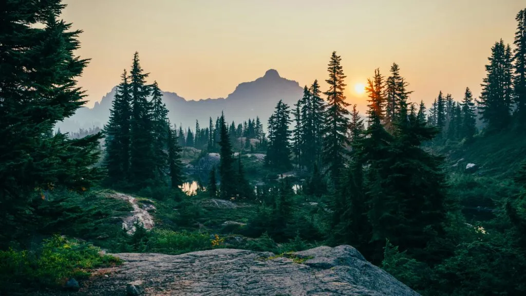 México impulsa los derechos de la naturaleza para proteger ecosistemas, biodiversidad y fortalecer la justicia ambiental.