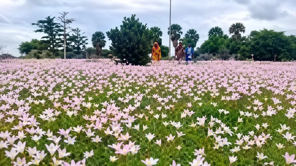 Flora y fauna nativa durante una experiencia de turismo de naturaleza en La Paquita, Córdoba