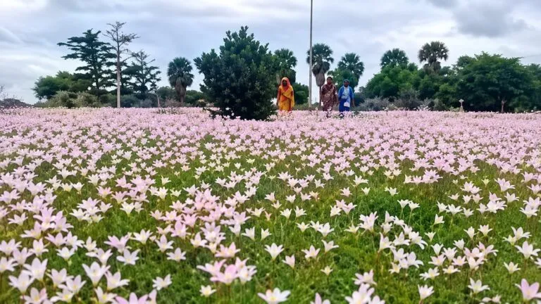 Flora y fauna nativa durante una experiencia de turismo de naturaleza en La Paquita, Córdoba