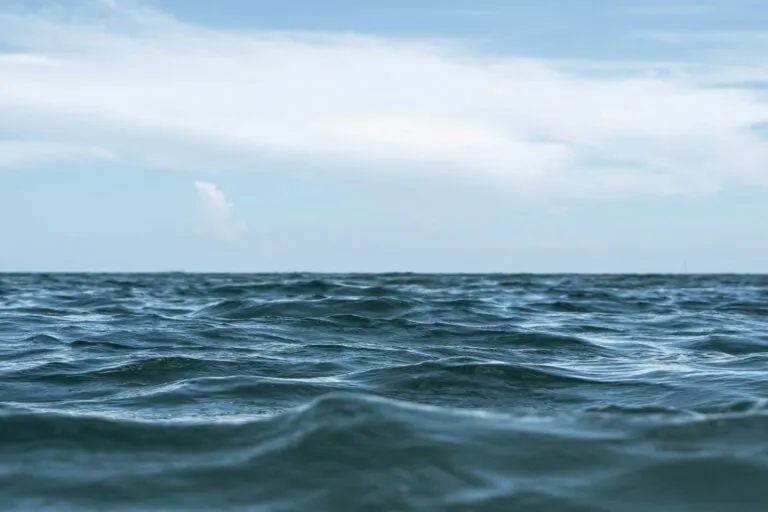Océanos más cálidos elevan la temperatura del mar y la presión climática mundial