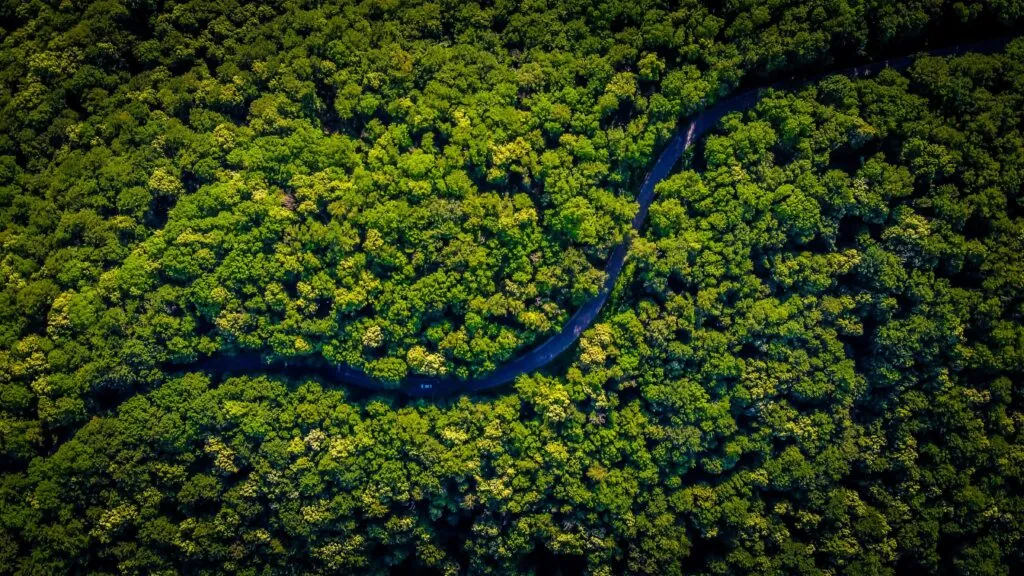 Países amazónicos unen esfuerzos en Ecuador para proteger la Amazonía frente a actividades petroleras y mineras.
