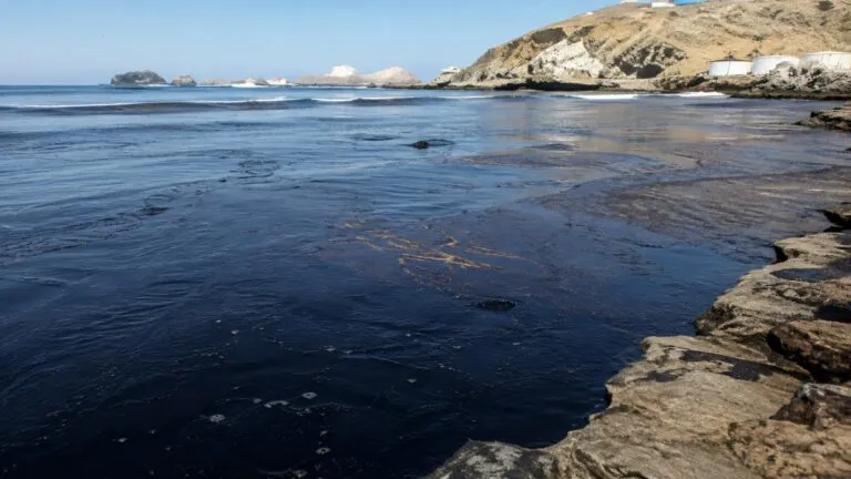 Vista de una playa de Ancón afectada por hidrocarburos, con presencia de contaminación en la costa y aves marinas en el entorno.