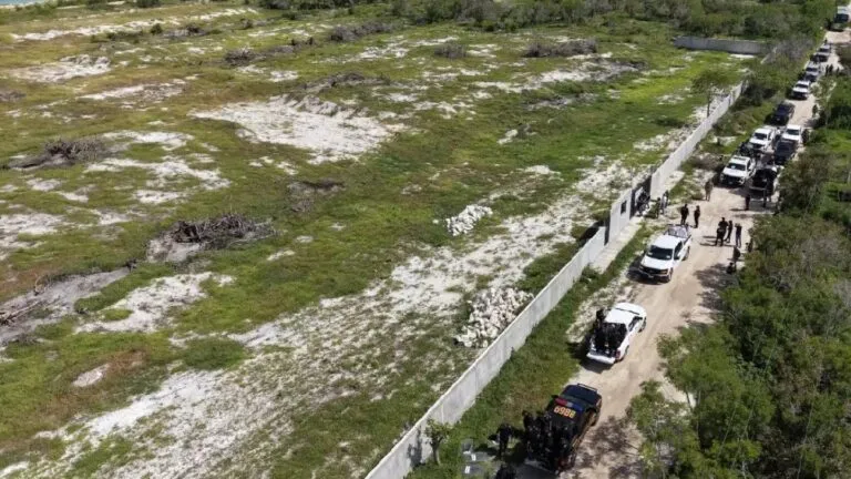 Operativo de Profepa para clausurar desarrollos irregulares en la Reserva Ría Celestún y proteger el ecosistema.