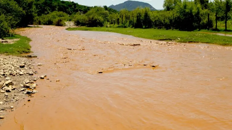 El río Sonora enfrenta contaminación y afectaciones sanitarias doce años después del derrame provocado por Buenavista del Cobre.