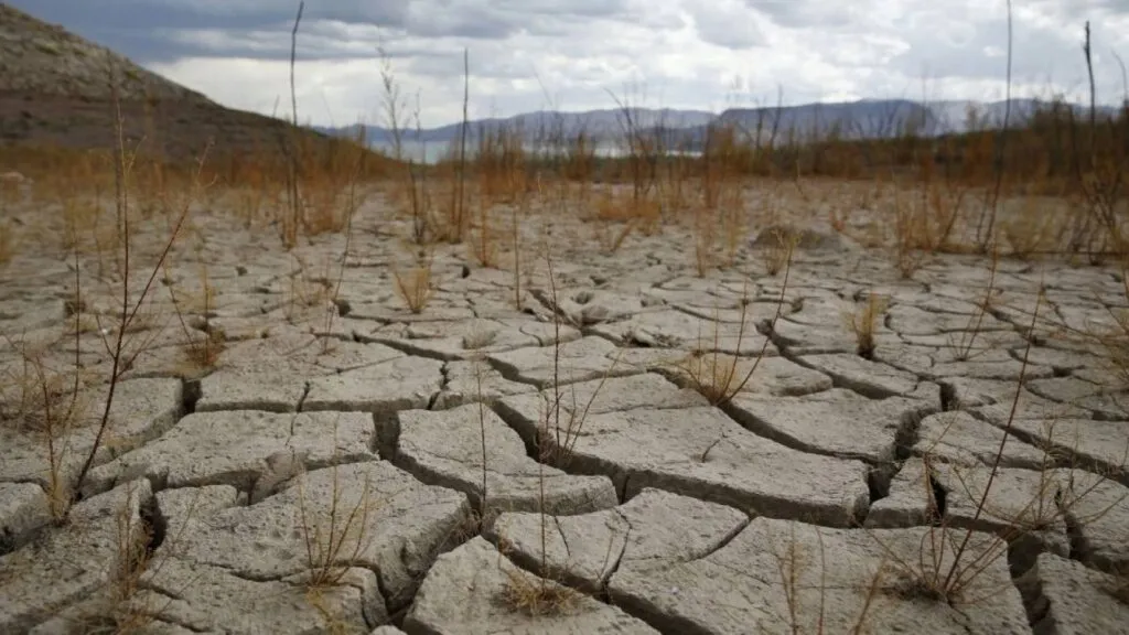 La degradación de los suelos amenaza la producción de alimentos, la biodiversidad y la disponibilidad de agua en el mundo.
