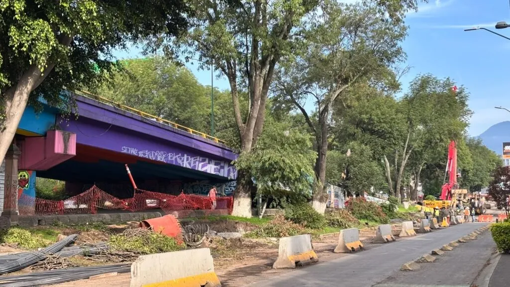 Tala de árboles por las obras del Morebús genera protestas y preocupación ambiental en Morelia.