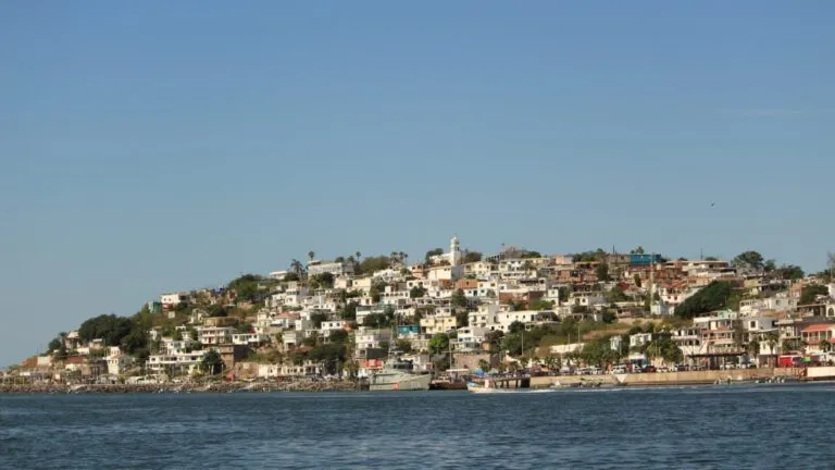 Topolobampo analiza el proyecto de una planta de amoniaco ante preocupaciones por sus efectos ambientales, la pesca artesanal y el ecoturismo.