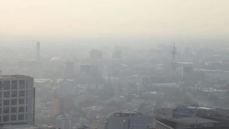 Contaminación atmosférica y sus efectos sobre la salud en México