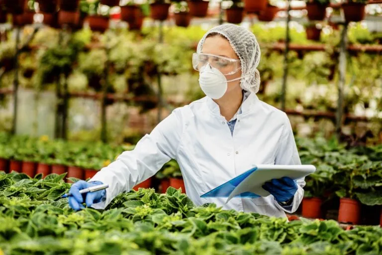 Corporativo Kosmos: innovación para transformar la industria alimentaria
