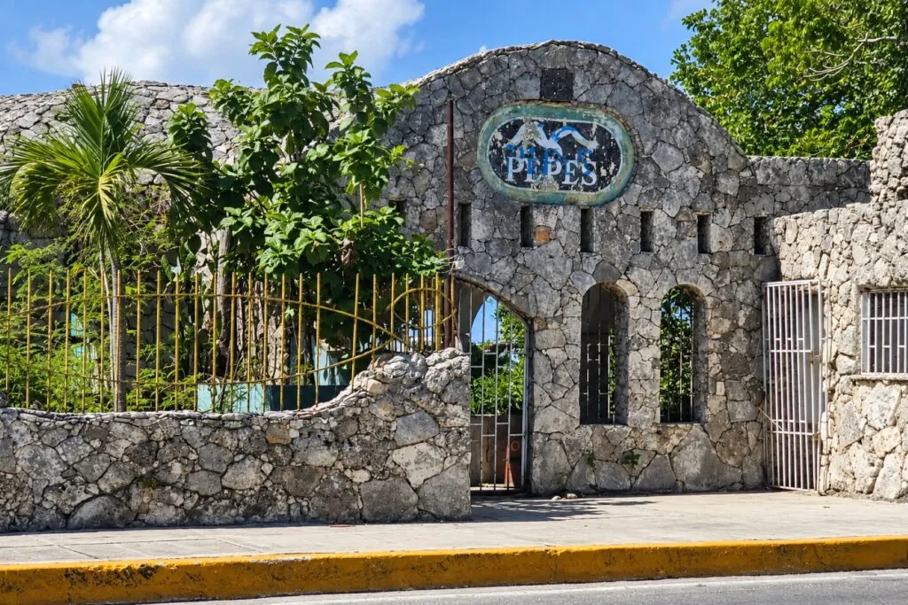 Jaguar en Cancún permanece en cautiverio mientras autoridades buscan verificar su salud y condiciones de cuidado