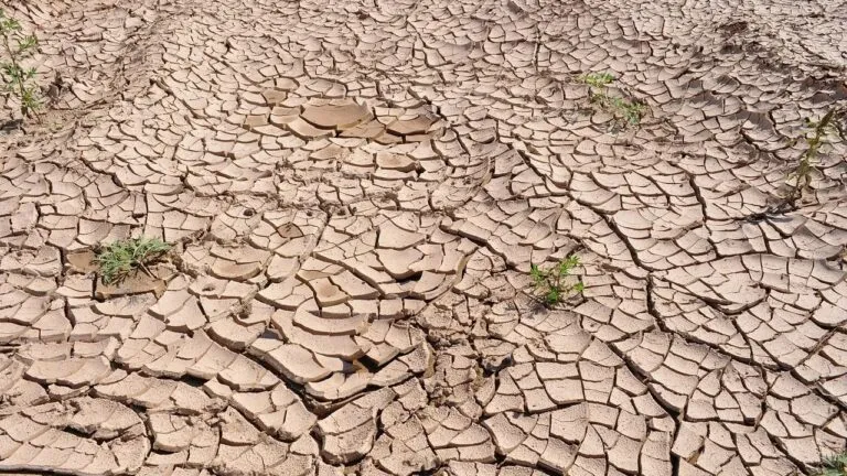 El Niño aumenta el riesgo de huracanes, sequías y calor extremo en México
