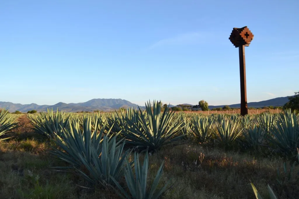 Casa Herradura combina métodos tradicionales, reúso de agua, biogás y composta para producir tequila sustentable en Jalisco.